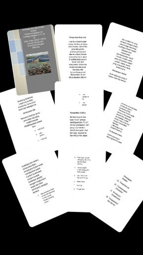 Budidaya Ikan Lele Sistem Bioflok